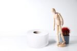 Rouleau de papier hygiénique 2 plis [SNCTROLL] – Image 2