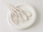 Assiette ronde biodégradable 10 [BDRP10*500] – Image 2