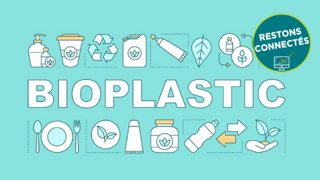 bioplastique